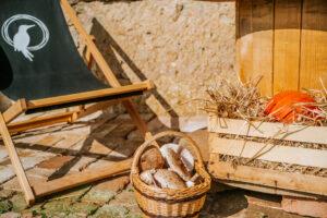 Srečanje na temo zelenega razvoja in plovnosti Ljubljanice s kandidati za župane v porečju Ljubljanice 1